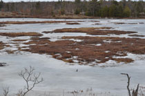 Torrance Barrens Trails